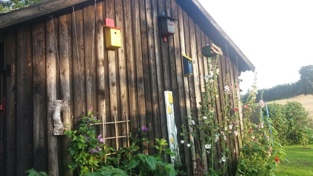 W Starej Szkole - Agroturystyka Pieczarki Exterior foto