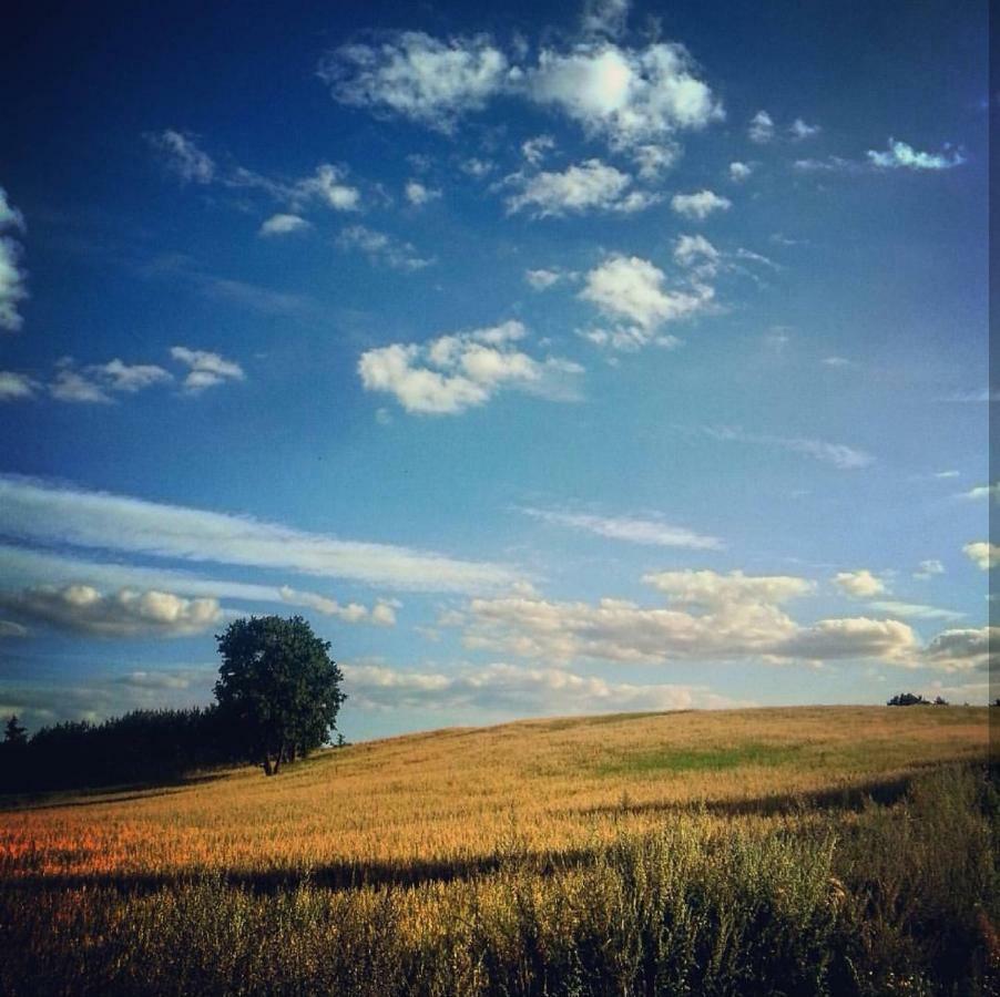 W Starej Szkole - Agroturystyka Pieczarki Exterior foto