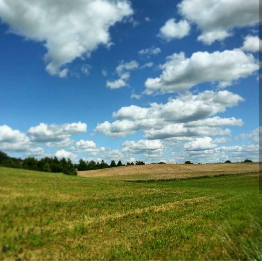 W Starej Szkole - Agroturystyka Pieczarki Exterior foto